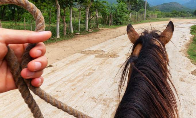 Horseback Riding with Lunch